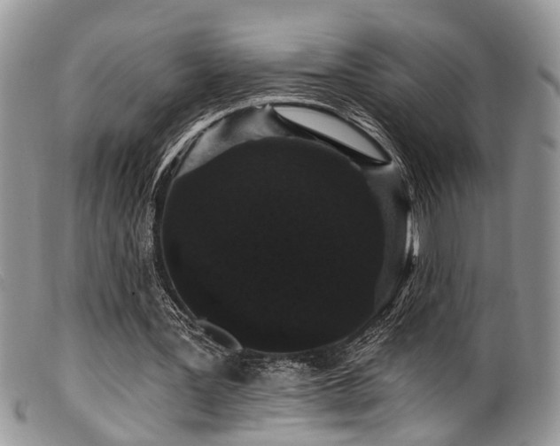 X0000099500387200805151436
