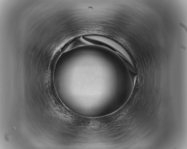 X0000099500388200805151436
