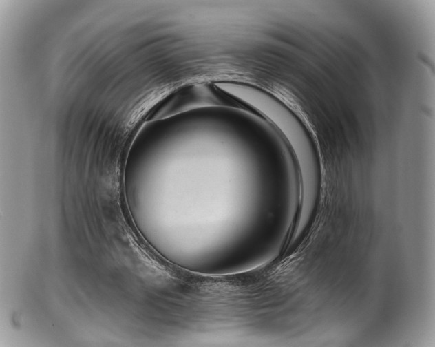 X0000099500389200805151436