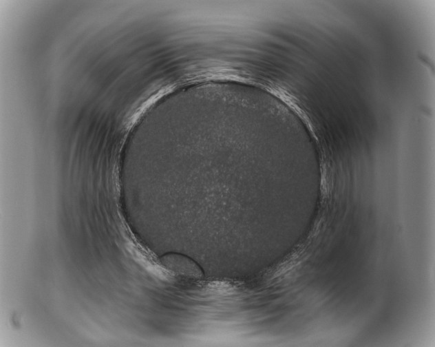 X0000099500390200805151436