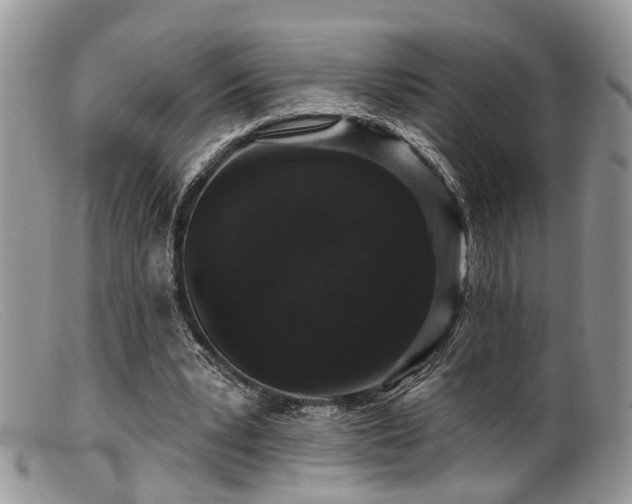 X0000099500391200805151436