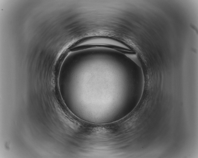 X0000099500392200805151436