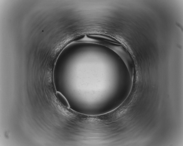 X0000099500393200805151436