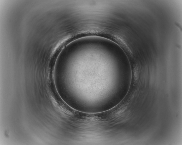 X0000099500396200805151436