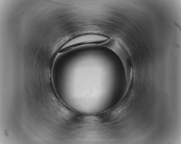 X0000099500397200805151436
