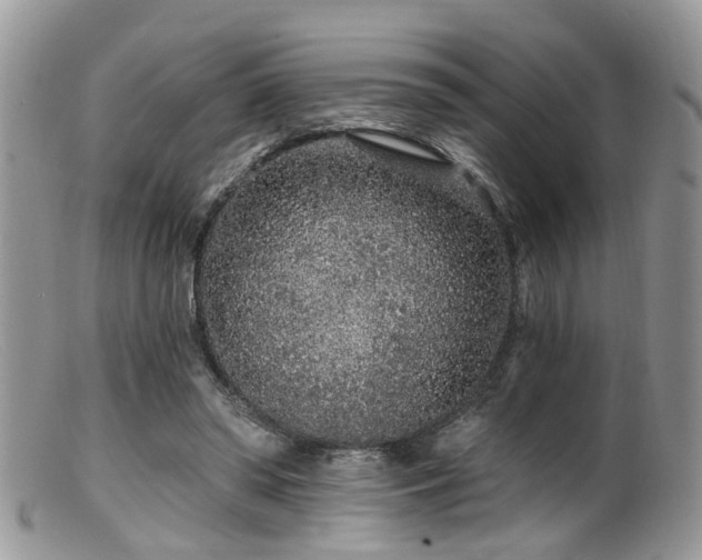 X0000099500398200805151436