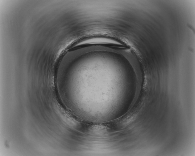 X0000099500399200805151436