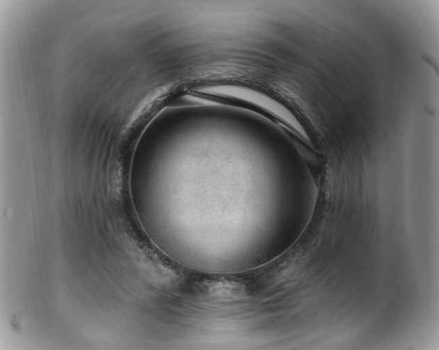 X0000099500400200805151436