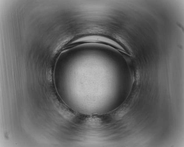 X0000099500403200805151436