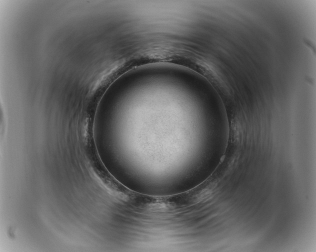 X0000099500404200805151436
