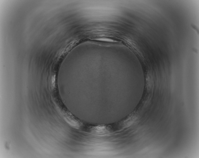 X0000099500406200805151436