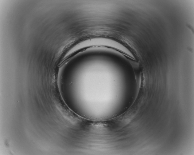X0000099500407200805151436