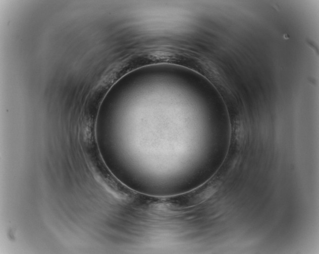 X0000099500408200805151436