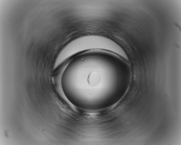 X0000099500409200805151436