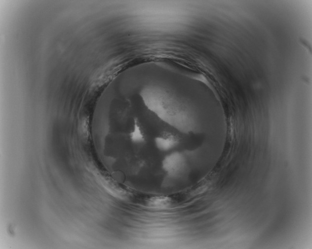 X0000099500410200805151436