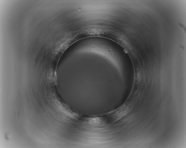 X0000099500411200805151436