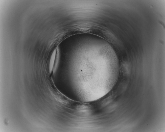 X0000099500412200805151436
