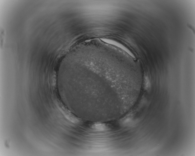 X0000099500413200805151436