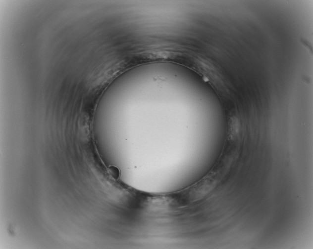 X0000099500414200805151436