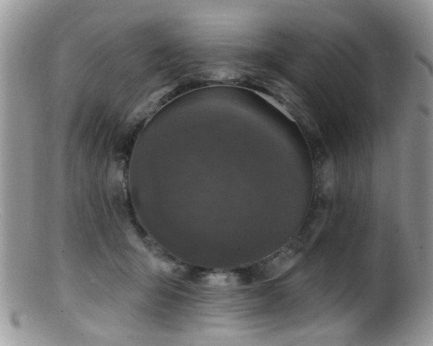 X0000099500415200805151436
