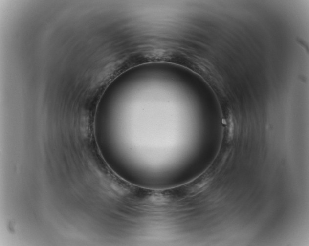X0000099500416200805151436