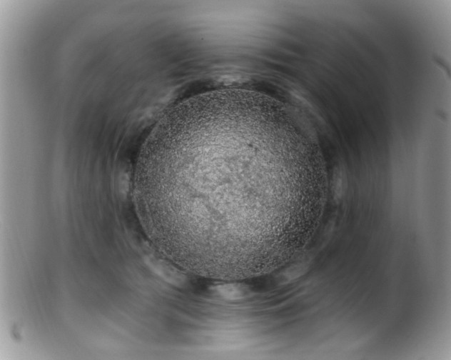 X0000099500417200805151436