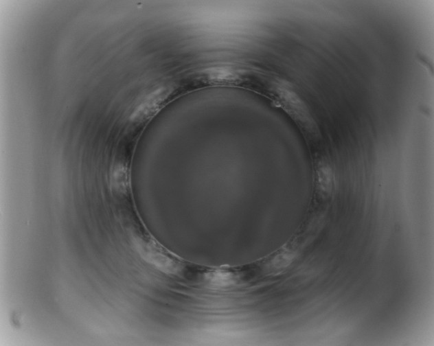 X0000099500419200805151435