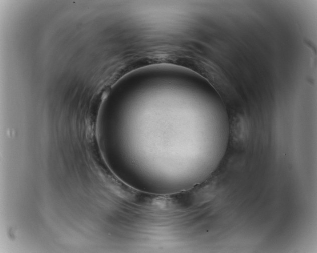 X0000099500420200805151435