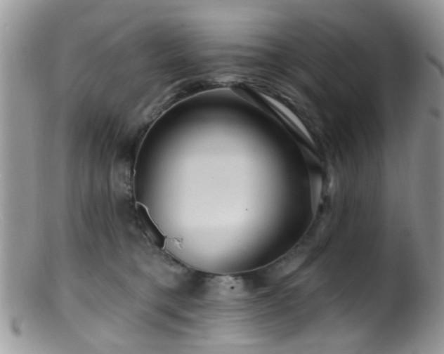 X0000099500421200805151435