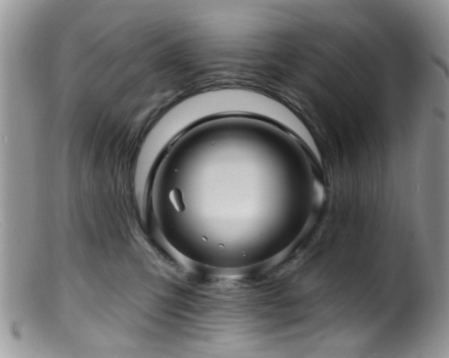 X0000099500423200805151435