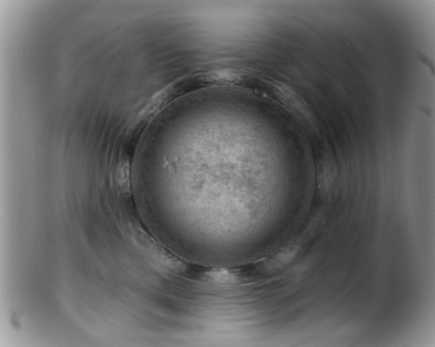 X0000099500425200805151435