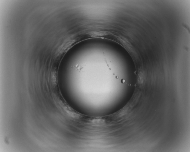 X0000099500426200805151435