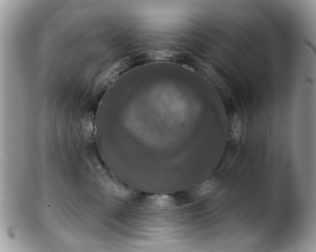 X0000099500427200805151435