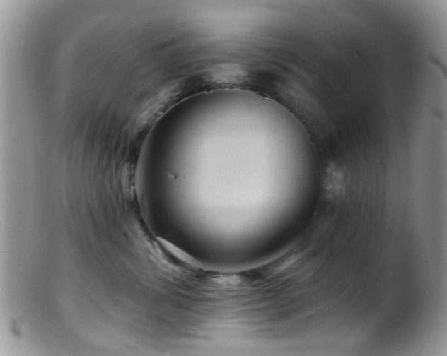 X0000099500428200805151435