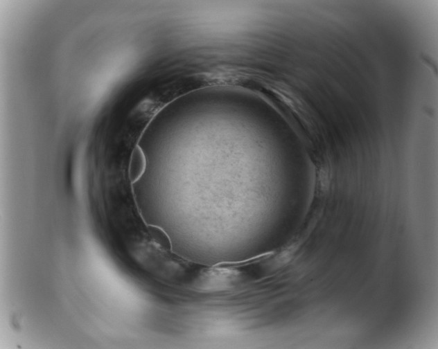 X0000099500429200805151435