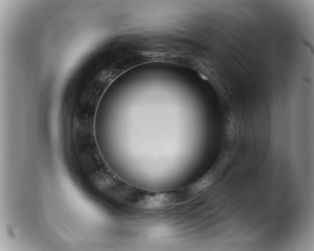 X0000099500430200805151435