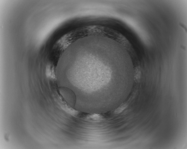 X0000099500431200805151435