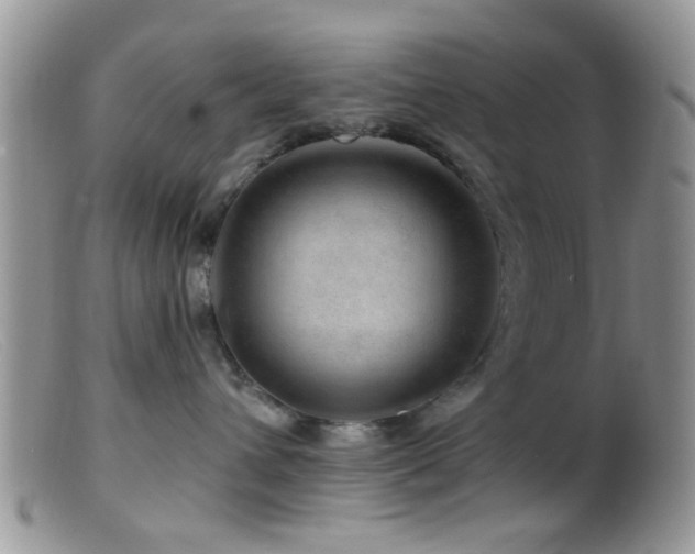 X0000099500432200805151435