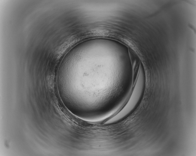 X0000099500434200805151434