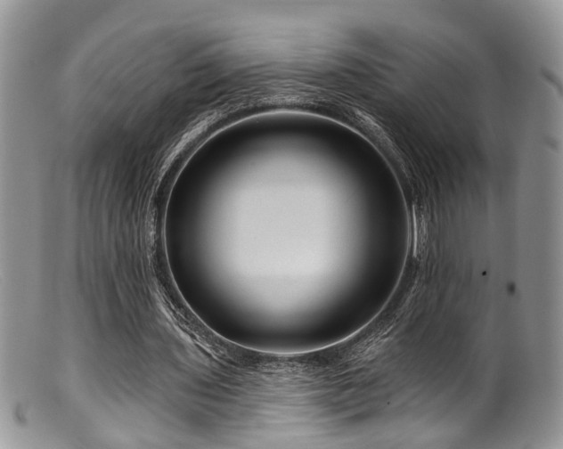 X0000099500435200805151434