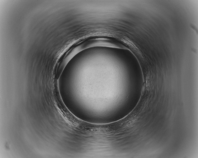 X0000099500436200805151435