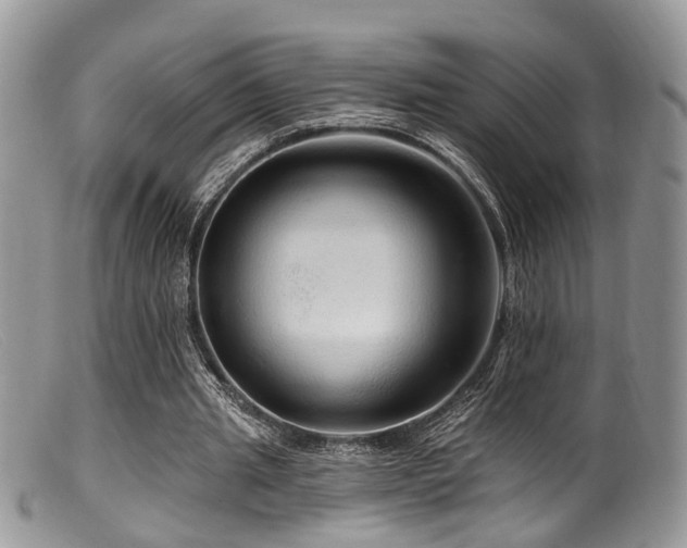 X0000099500437200805151435