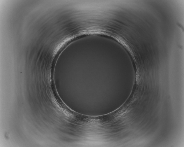 X0000099500438200805151435