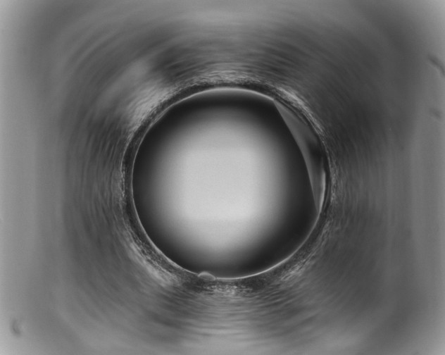 X0000099500439200805151435