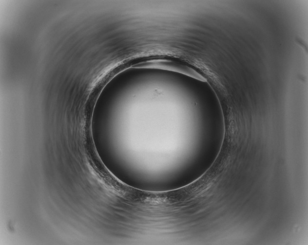 X0000099500440200805151435