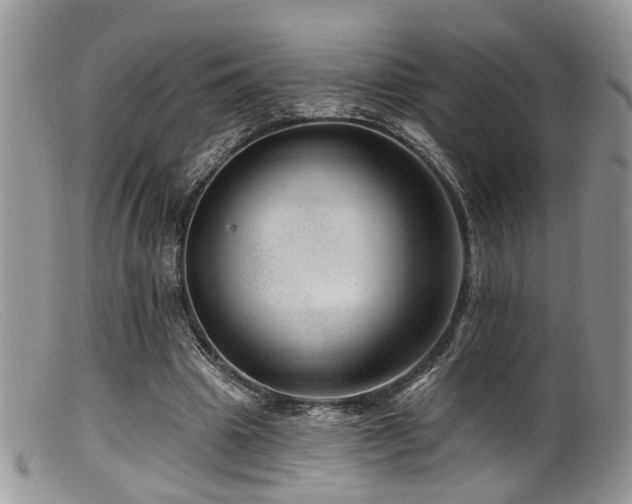 X0000099500441200805151435