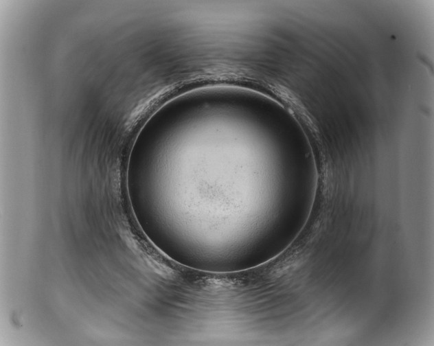 X0000099500442200805151435