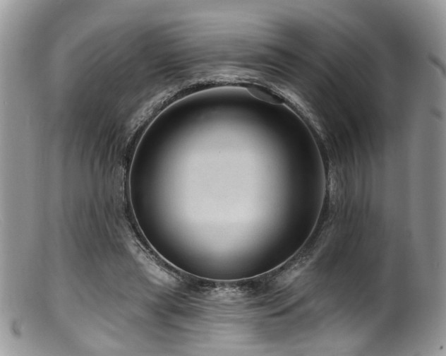 X0000099500445200805151435
