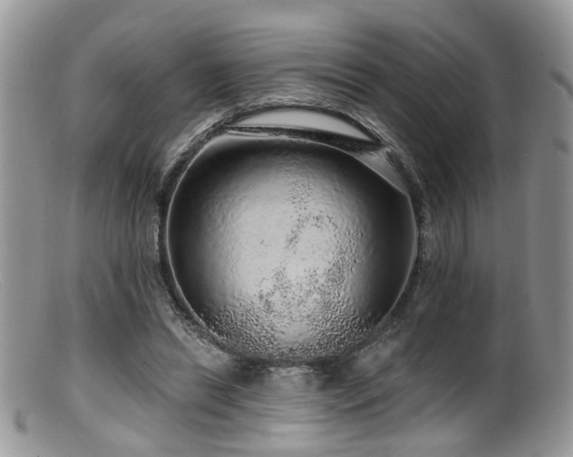 X0000099500446200805151435