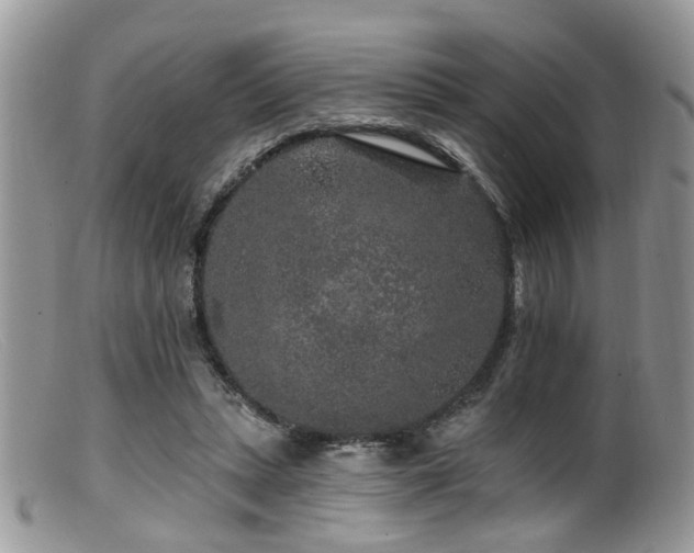 X0000099500447200805151435
